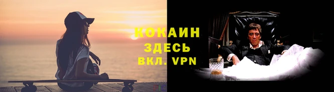 спиды Арсеньев
